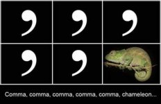 comma-chameleon.jpg