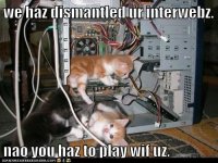 funny-cat-pictures-lolcats-we-haz-dismantled-ur-interwebz.jpg