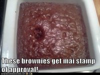 funny-cat-pictures-these-brownies-get-mai-stamp-of-approval.jpg