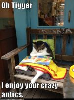 funny-cat-pictures-oh-tigger-i-enjoy-your-crazy-antics.jpg