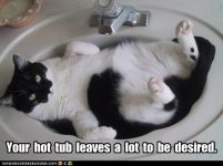 funny-cat-pictures-your-hot-tub-leaves-a-lot-to-be-desired.jpg