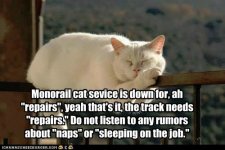 funny-cat-pictures-monorail-cat-needs-repairs.jpg