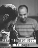 funny-cat-pictures-lolcats-real-men.jpg