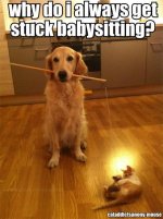 babysitting.jpg