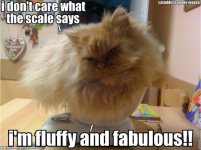 fluffy-and-fabulous.jpg