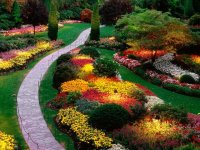 Beautiful-Flower-Garden-HD-Wallpaper1.jpg