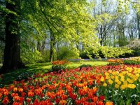 Beautiful-Flower-Garden-Wallpapers-1.jpg