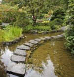 6440982-traditional-japanese-garden-a-stream-and-a-decorative-path-from-stones.jpg