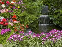 Flower-Garden_plants-Wallpaper.jpg