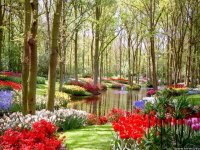 garden-and-flowers-wallpaper.jpg