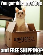 amazon.cat.jpg