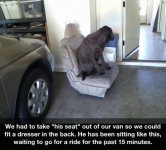 dog-seat.jpg