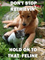 retrievin-feline.jpg