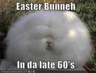 easter-humor-bunny-from-the-1960s.jpg