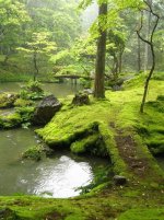 Moss-covered-bridge-Ireland.jpg