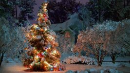 outdoor-christmas-tree-wallpapers_32069_2560x1440.jpg