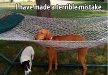 mistake.jpg