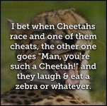 cheetahs.JPG