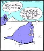 walrus.JPG