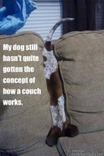 658645ea6816d7aea77c6d1a14bd0ef3.jpg