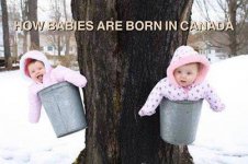 how-babies-are-born-in-Canada.jpg