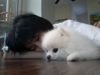 canine-assisted-therapy-2.jpg