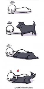 canine-assisted-therapy.jpg