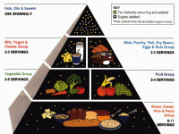 food-pyramid.gif