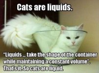 cats_are_liquids-121001.jpg