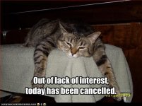 funny-pictures-cat-cancels-today.jpg