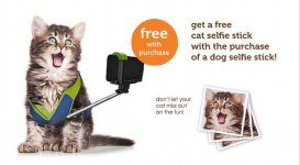 13209e2e_selfie-stick-cat.xxxlarge.jpg