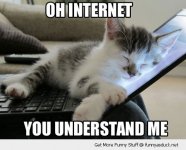 funny-you-understand-me-internet-laptop-sleeping-cat-pics.jpg