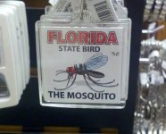 florida-state-bird.jpg