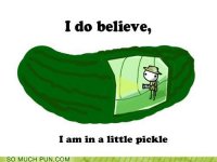 funny-puns-in-a-pickle.jpg