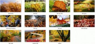 Fall-leaves-600x276.jpg