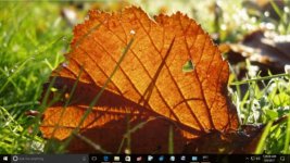 Fall-leaves-theme-Windows-10-3-600x338.jpg