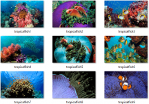 fish-themepack-images.png