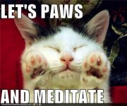 pawsandmeditate.jpg