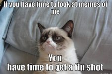 cat-flu.jpg