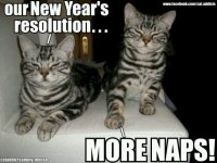 Happy-New-Year-2018-Cat-Memes.jpg