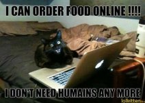 funny-cat-lolcat-orders-food-online.jpg