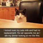 funny-cat-snapchats-coverimage.jpg