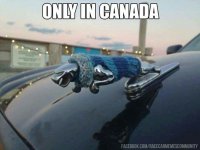 9073217757d293cd618b0f016894ede0--canada-jokes-canada-funny.jpg