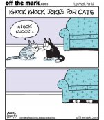 knock-knock-jokes-for-cats.JPG