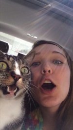 perfectly-timed-selfies-5.jpg