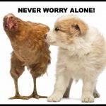 NeverWorryAlone-150x150.jpg NeverWorryAlone-150x150.jpg