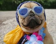 83f8fa6c9eadac1c27fc2e7adccb6ec4.jpg