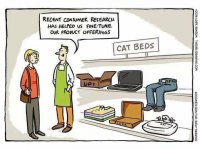 cat beds.jpg