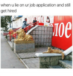 when-u-lie-on-ur-job-application-and-still-get-10371057.png