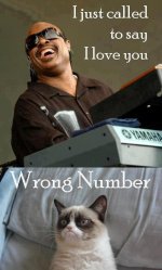 Funny-Cats-Top-49-Most-Funniest-Grumpy-Cat-Quotes-43.jpg